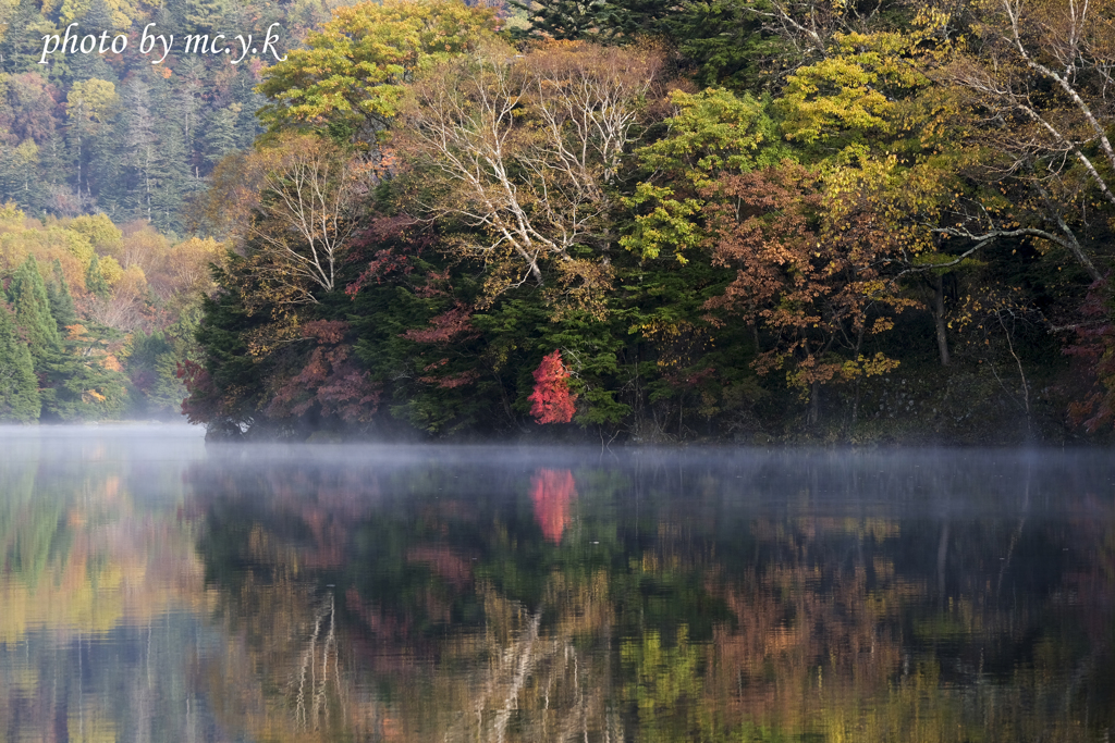 紅一点