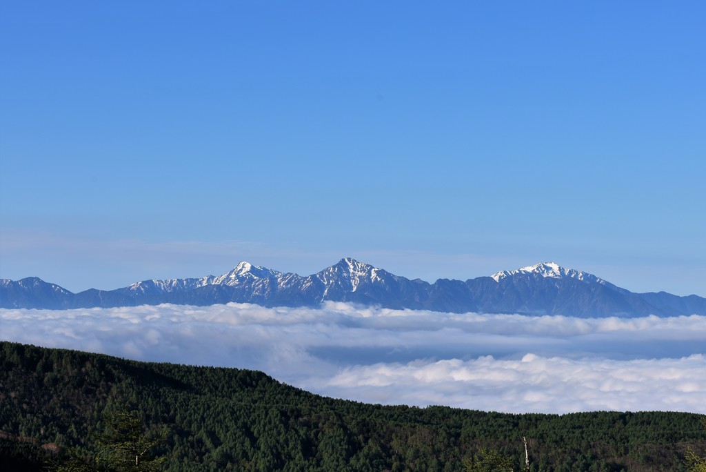 青空と雲海