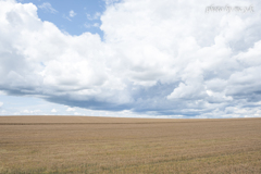 The ground of barley