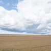 The ground of barley