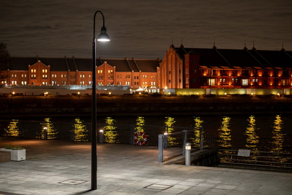 Waterfront Park at Night