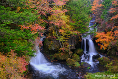 潤う紅葉