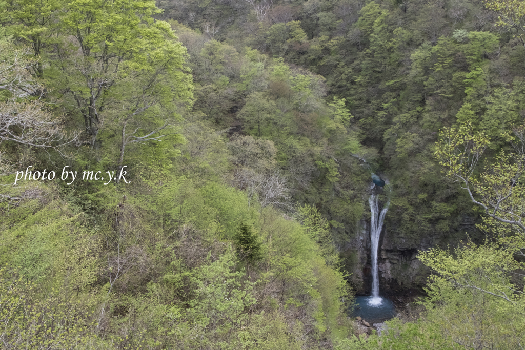 新緑の峯走り