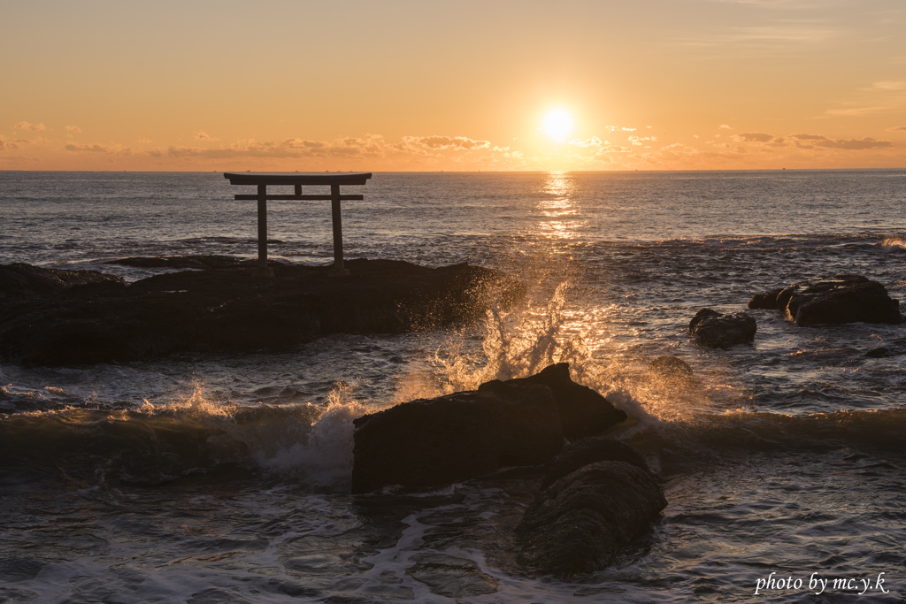 清暉な海