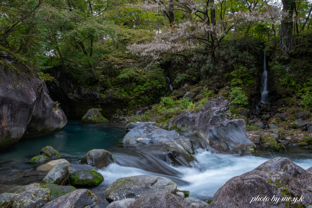 清流大谷川