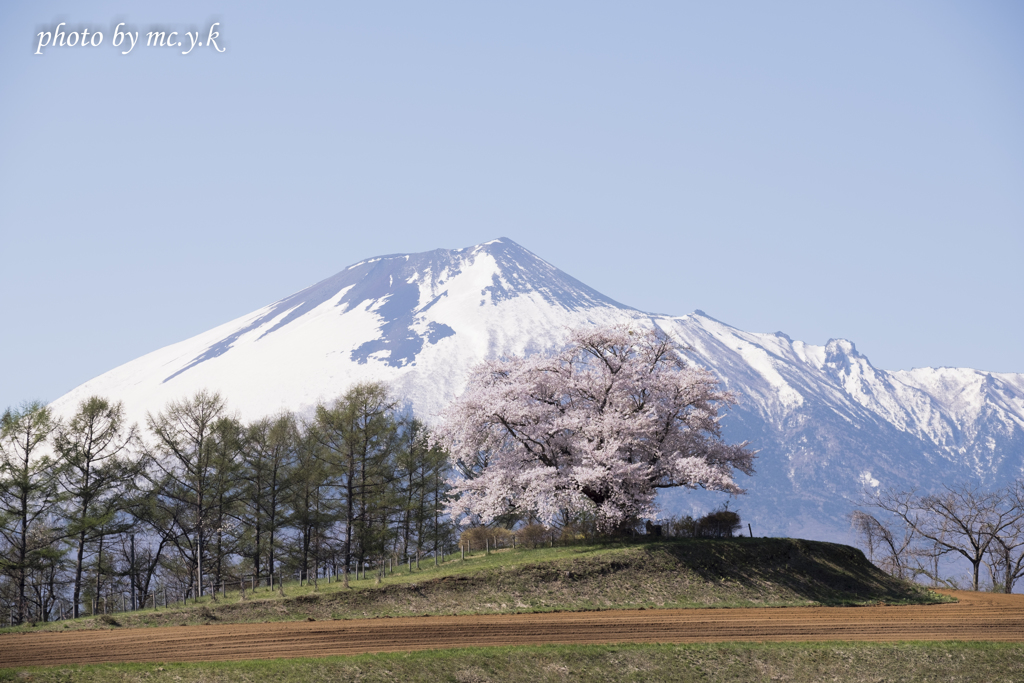 春和景明