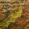 湖面の紅葉