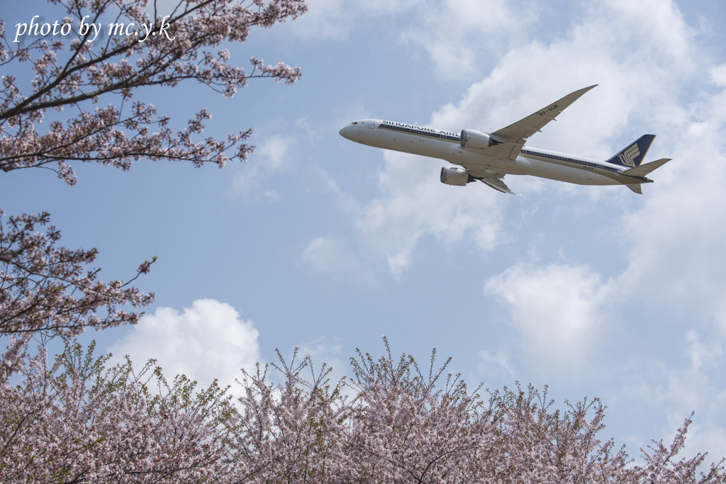 飛行機のある風景