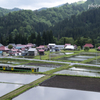 里山を駈ける