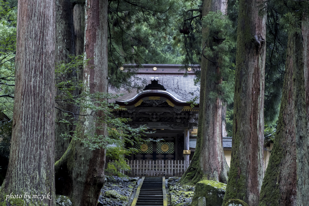 雨の唐門