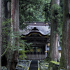 雨の唐門