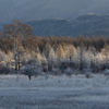 Ｐａｌｅ　Ｌｉｇｈｔ