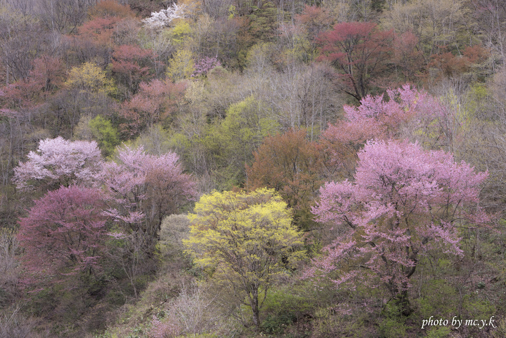 淡色の山肌