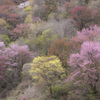 淡色の山肌