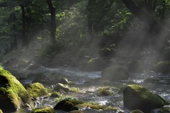 尚仁沢の光芒