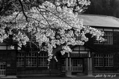 学舎を飾る