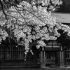 学舎を飾る