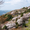 春闌ける