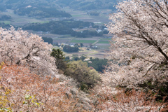 里を望む