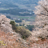 里を望む