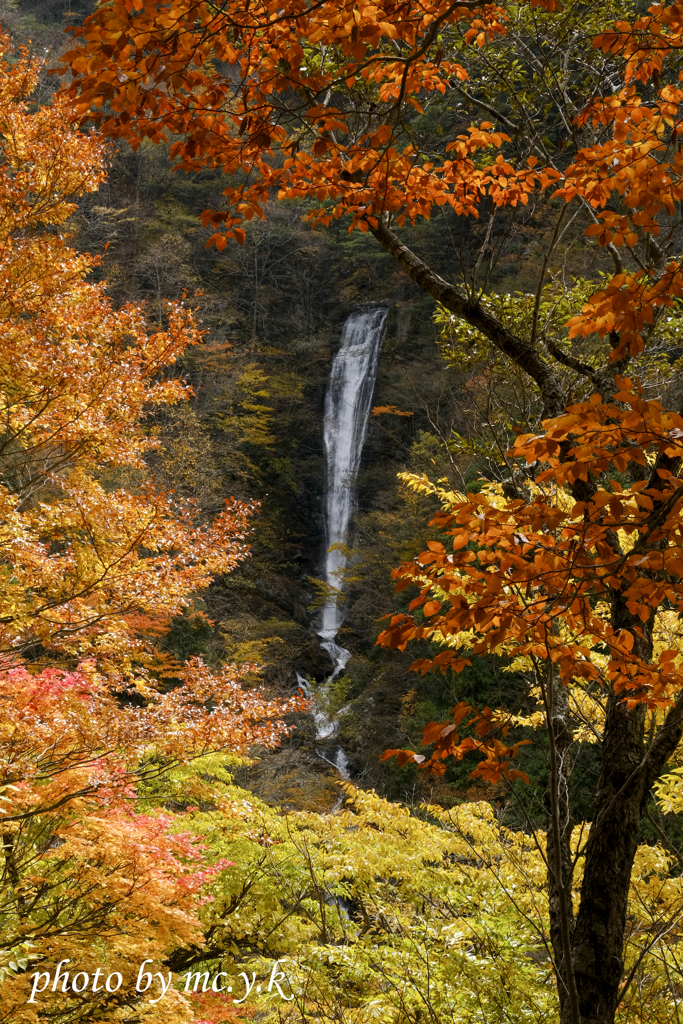 季秋の滝