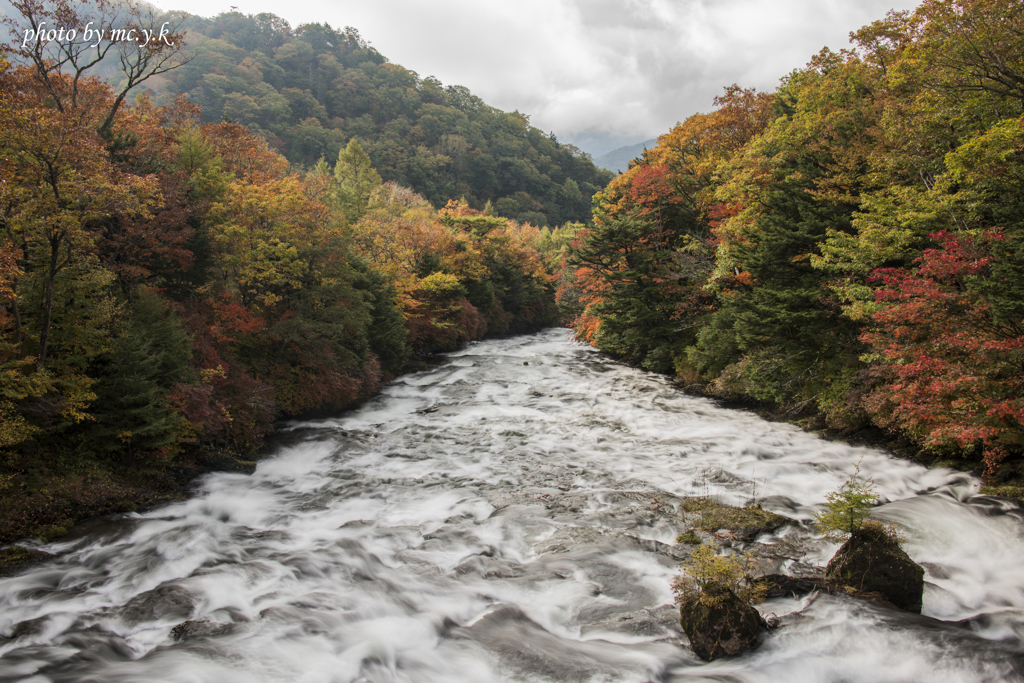 湯川の流れ