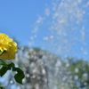 Splash!!