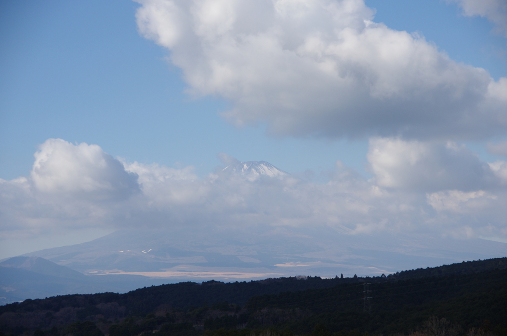 三島スカイウォーク