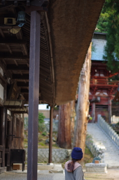 松本市牛伏寺