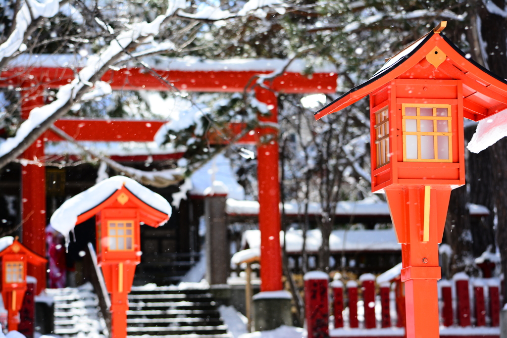 粉雪が散る北海道の卒業シーズン