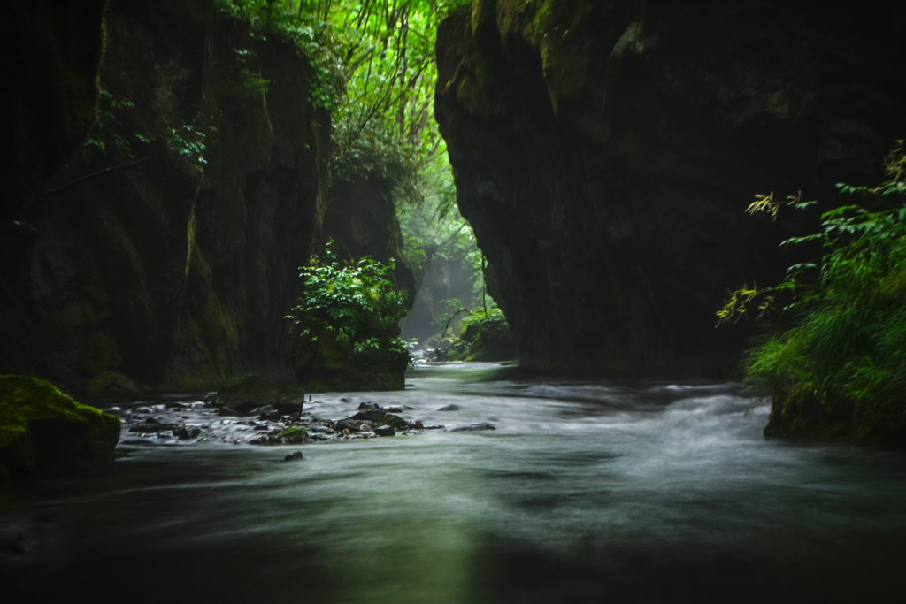 数年ぶりの川遊び