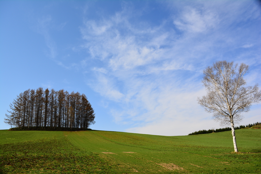 絵になりすぎる風景