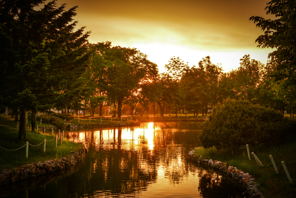 ご近所夕景