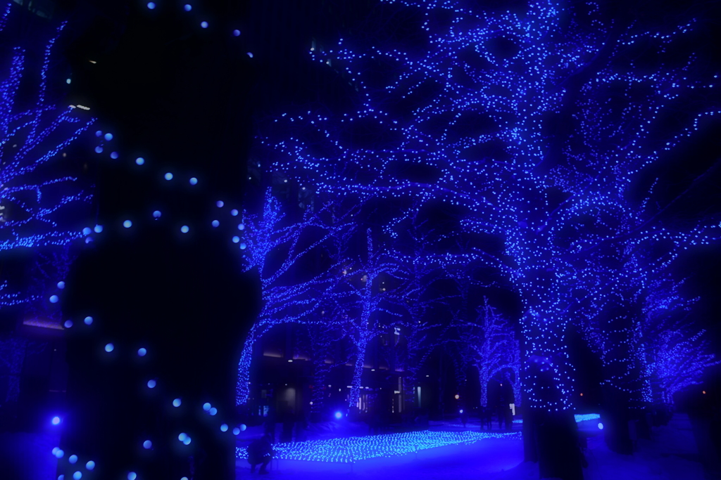 青の洞窟SAPPORO 木陰より