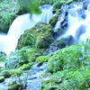 湧水の郷