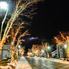 八幡坂と函館山の夜景