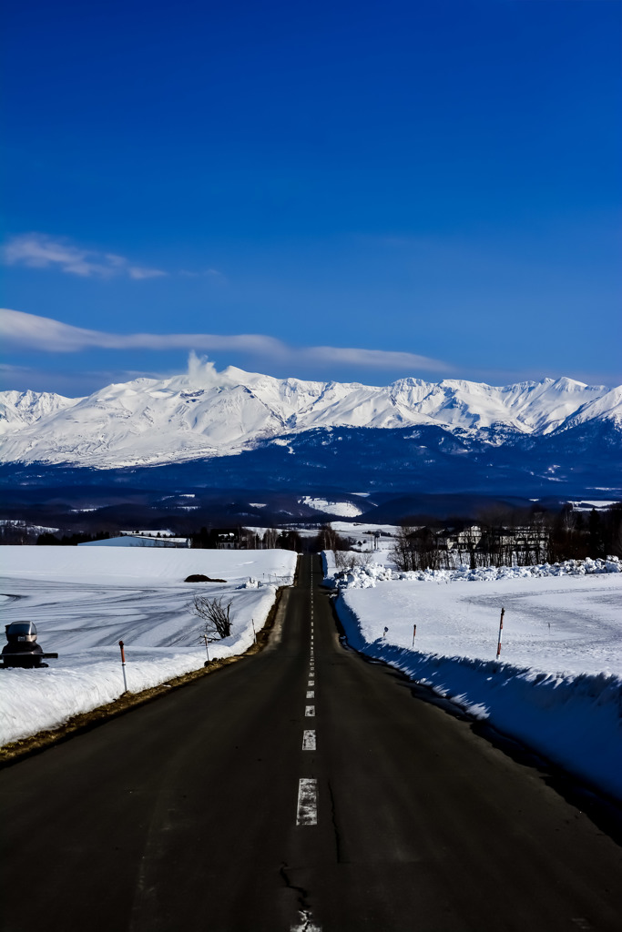 ANOTHER STARTING ”BIEI” LINE