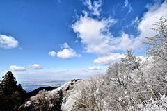 山頂から