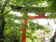 宇治上神社