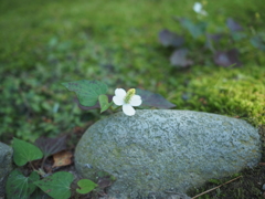 7DE0DBFF-21B8-4E57-870D-0D028F15E05E