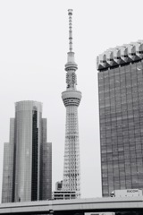 曇り空のスカイツリー