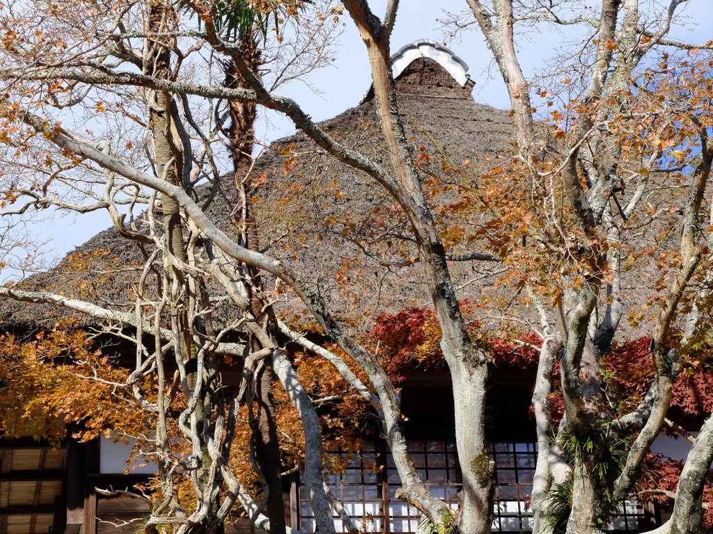 北鎌倉 海蔵寺