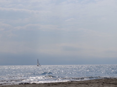 IMG_0563
