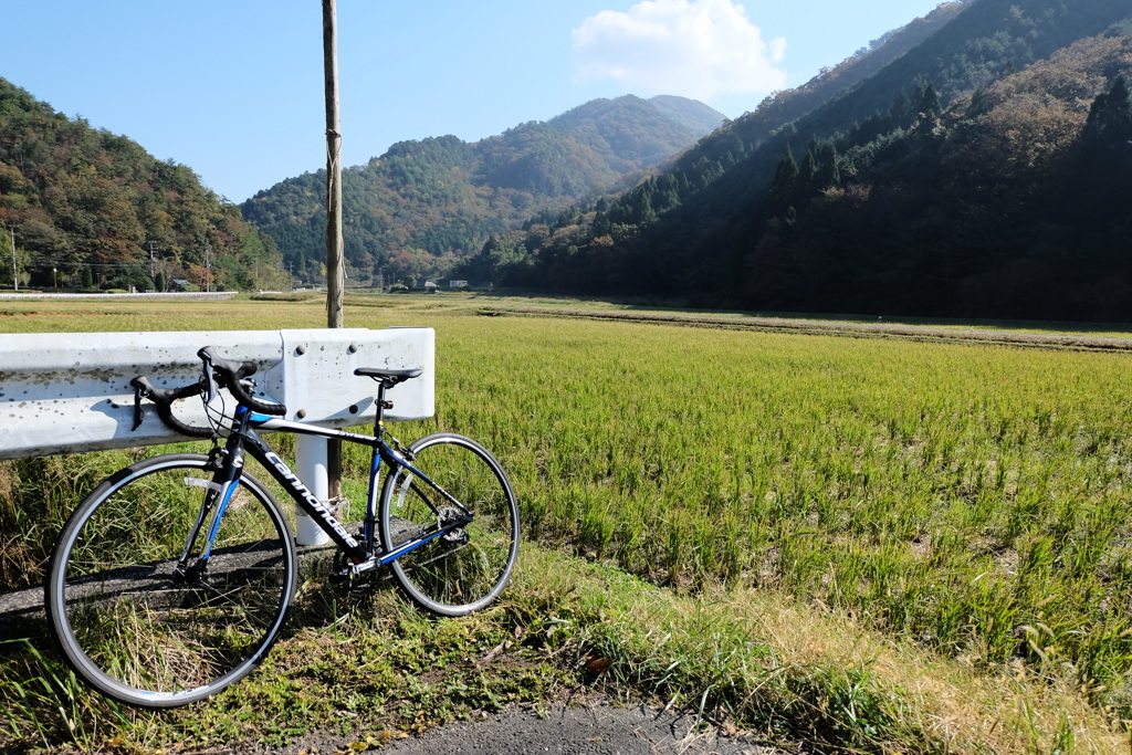 初サイクリング