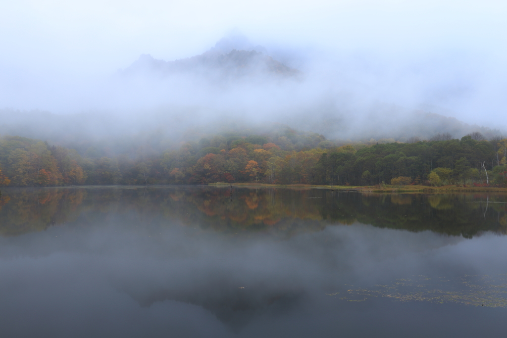 朝霧