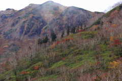 晩秋の栂池高原