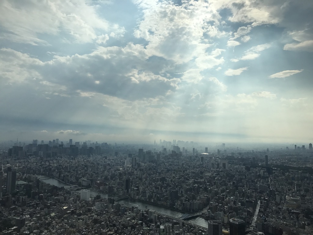 スカイツリーから