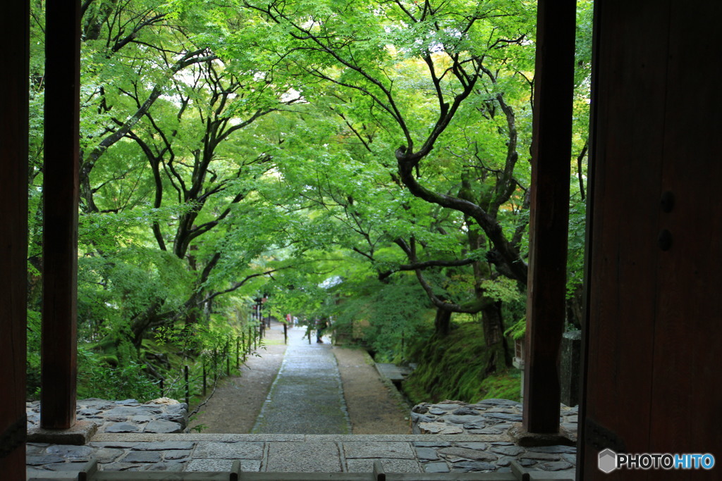 常寂光寺