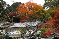 東慶寺の紅葉1