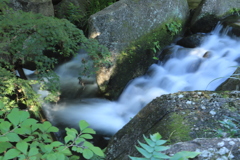 どこかの滝